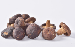 香菇的营养价值与功效！（上）