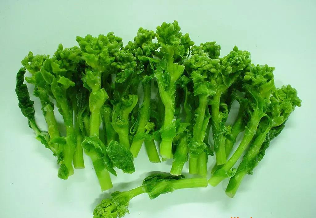 VF食品什么意思